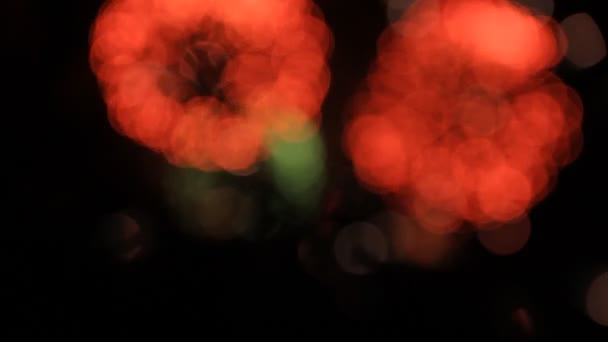 Ohňostroje s bokeh. Červená a zelená. — Stock video