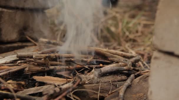 Chama de brasa de madeira com pequenos galhos . — Vídeo de Stock