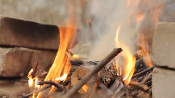 Hořící dřevěné špalky rukou. — Stock video