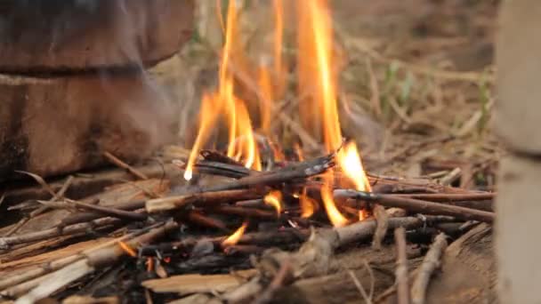 Flaming bonfire with small twigs. — Stock Video