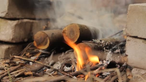 Füst és flash tűzzel égő fa naplók. — Stock videók