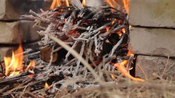 Troncos de madera ardiendo con ramitas pequeñas . — Vídeo de stock