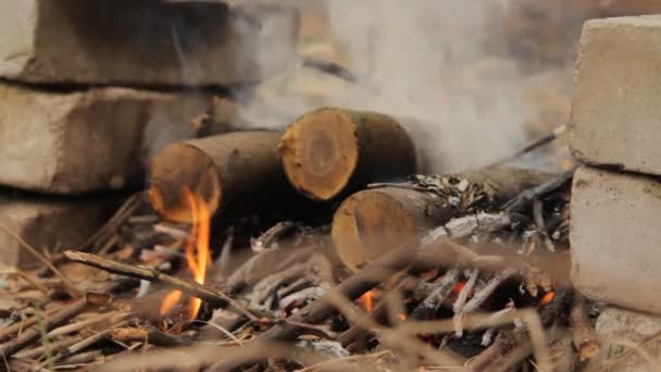 Hořící dřevěné špalky s kouře a ohně. — Stock video