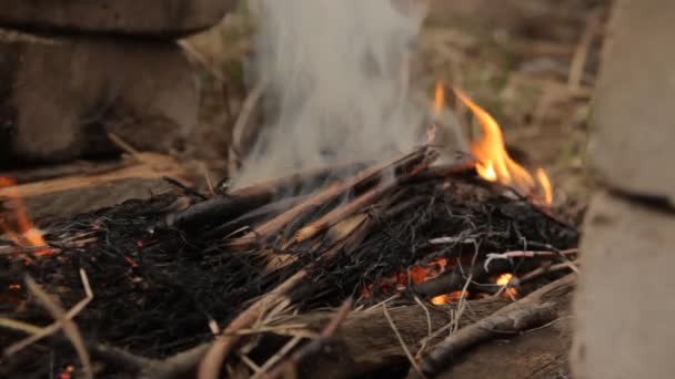 Holz mit Flammenspritzern. — Stockvideo