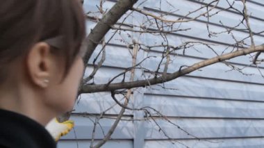Kadın dalları keser. Yan görünüm.