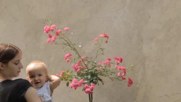 Babysitter med baby med rosenbuske — Stockvideo