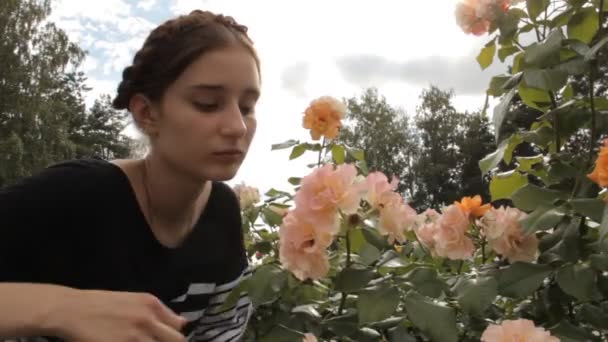 Dívka sniffs růže z růže bush — Stock video