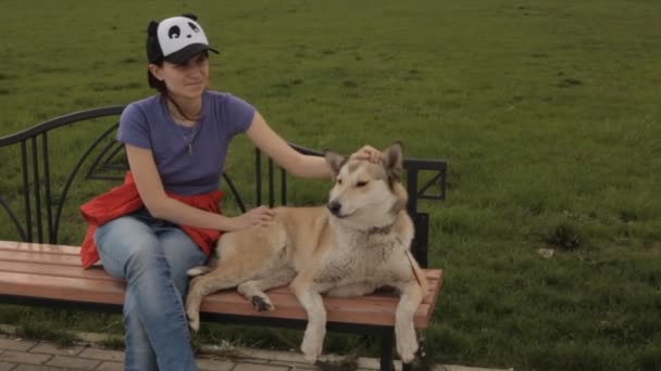 Una ragazza che accarezza un cane su una panchina . — Video Stock