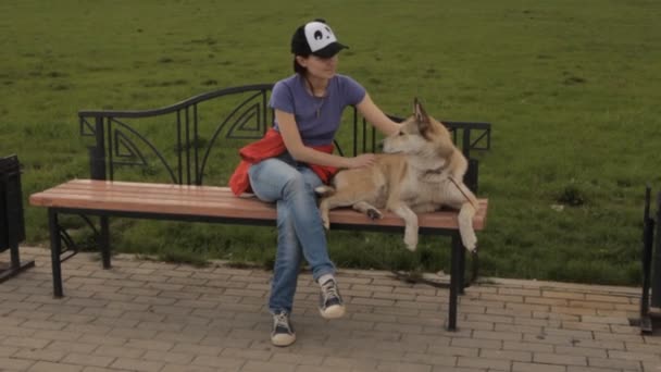 Дівчина сидить на лавці з собакою . — стокове відео