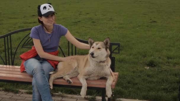 Una ragazza che accarezza un cane su una panchina . — Video Stock