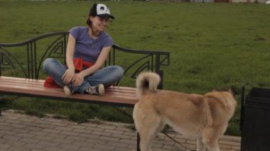 Bir kızın kucağında atlama bir köpek.