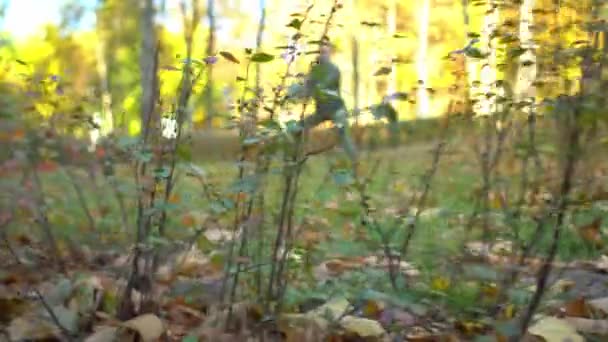 背景に呼吸体操に従事するスポーツマンのための秋の芝生の茂みの近くの動き — ストック動画
