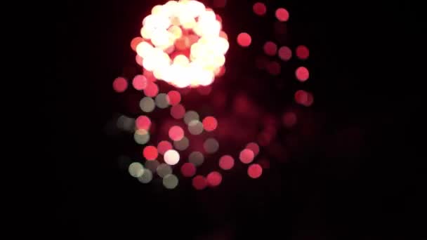 Fuochi d'artificio rosa Bokeh palle di notte cielo vacanza sfondo Fuochi d'artificio sfocati — Video Stock