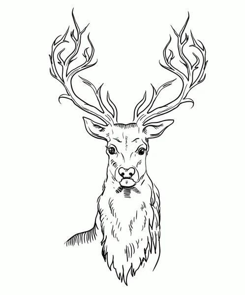 Sketch of deer head — Stock Vector