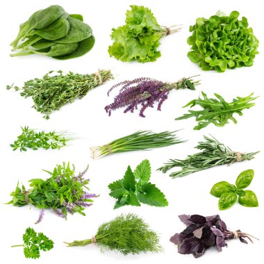 aromatik bitki ve baharat seti