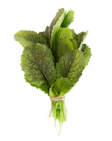 Mustár leveles saláta — Stock Fotó