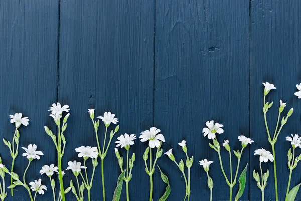Flores blancas pequeñas. Acostado. Vista superior . —  Fotos de Stock