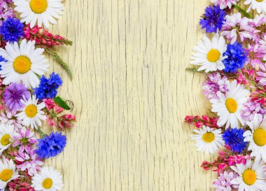 Çayır çiçek. Düz yatıyordu. Üstten Görünüm.