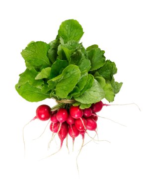 Demet taze turp beyaz zemin üzerine izole.  