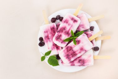 Taze siyah Ahududu ve nane ile yoğurt popsicles