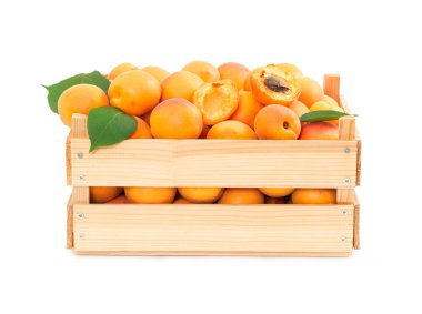 Ahşap kutusunda taze olgun kayısı 