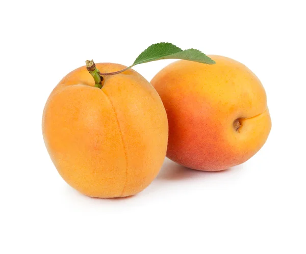 Two fresh apricots isolated on white background — Stock Photo, Image