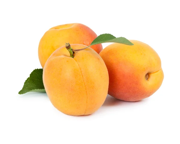Three fresh apricot — Stock Photo, Image
