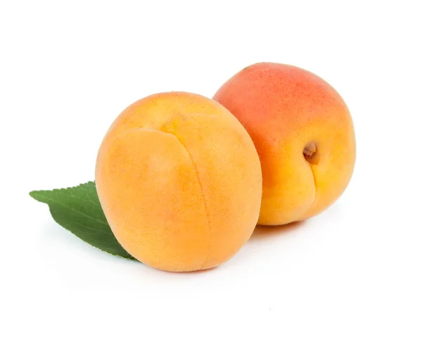Two fresh apricots with leaf — Stock Photo, Image