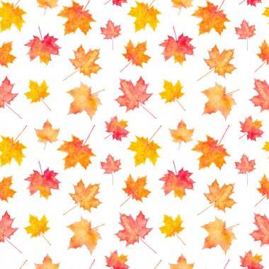 Dikişsiz desen suluboya sonbahar akçaağaç yaprakları.