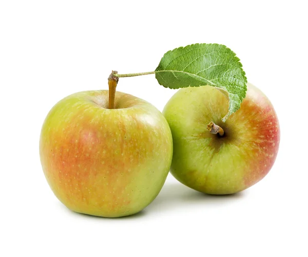 Dos manzanas rojo-amarillas —  Fotos de Stock