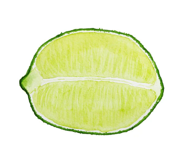 Watercolor image of half of lime — Stock Photo, Image