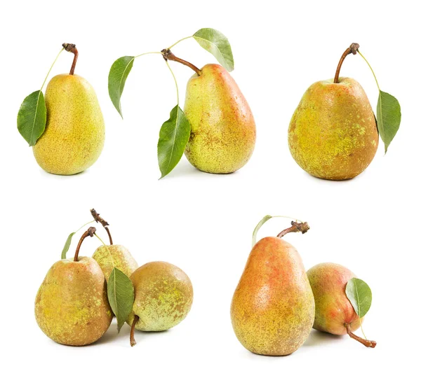 Set of ripe pears — Stock Photo, Image