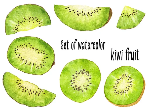 Uppsättning Akvarell Kiwi Frukt Isolerad Vit Bakgrund Handritad Akvarell Illustration — Stockfoto