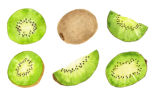 Uppsättning Akvarell Kiwi Frukt Isolerad Vit Bakgrund Handritad Akvarell Illustration — Stockfoto