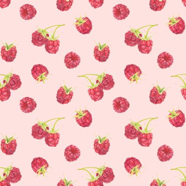 Pembe arka planda izole edilmiş suluboya ahududu desenleri. El çizimi suluboya çizimi. 