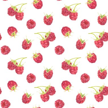 Beyaz arka planda izole edilmiş suluboya ahududu desenleri. El çizimi suluboya çizimi. 