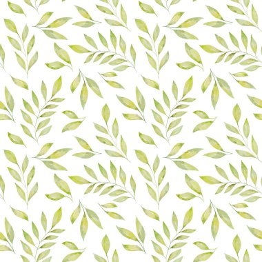 Çiçeksiz suluboya desenli yeşil yapraklar ve beyaz arka planda izole dallar. Tasarım kağıtları, ambalaj kağıtları, tekstil, web siteleri, şablon dolguları için kullanılabilir. El çizimi suluboya çizimi. 