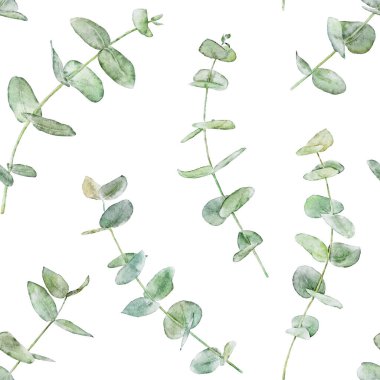 Beyaz arka planda izole edilmiş okaliptüs dalları olan dikişsiz suluboya deseni. El çizimi suluboya çizimi.