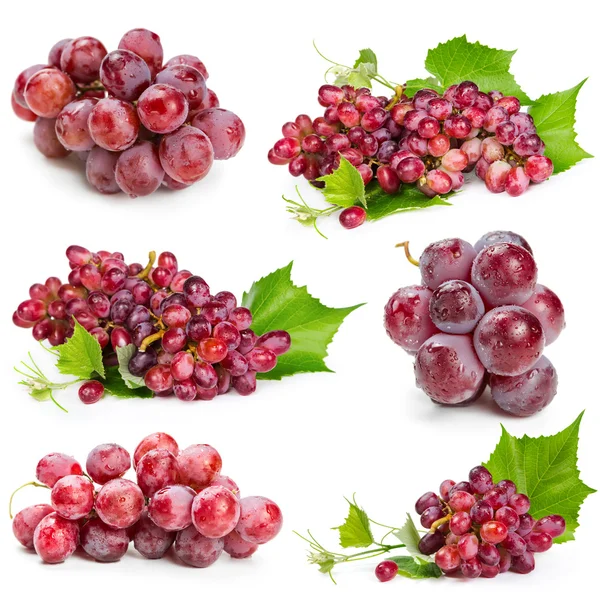 Set van rode druiven — Stockfoto