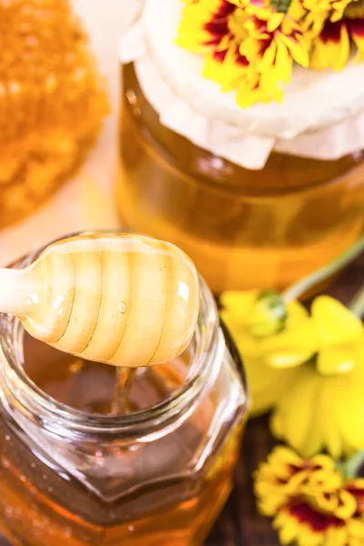 Dois jarros de mel e flores amarelas — Fotografia de Stock