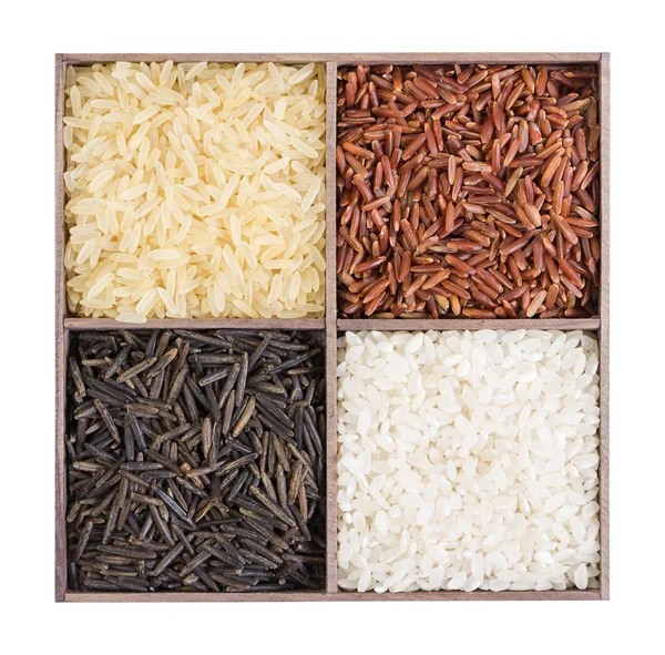 Reihe von verschiedenen Reissorten — Stockfoto