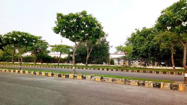 Beautiful View Road Surrounded Greenery India — Fotografia de Stock