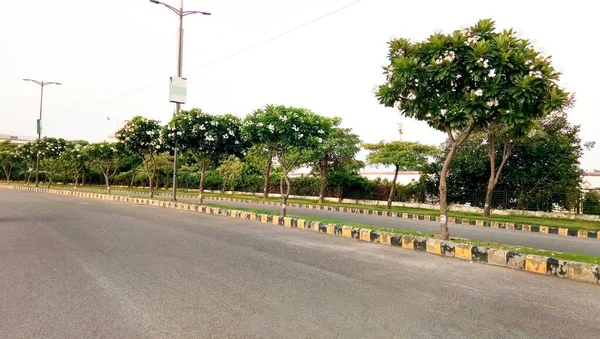 Beautiful View Road Surrounded Greenery India — Stockfoto