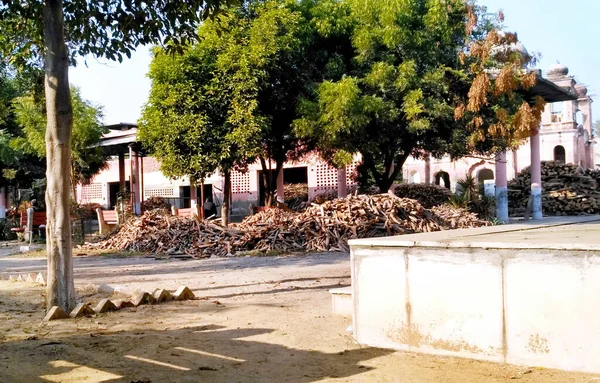 インドのハリヤナ州ハンシの火葬場の公園に保管されていた木 — ストック写真