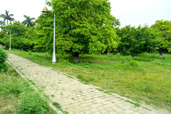 Bela Cena Parque Parque Público Com Campo Grama Verde Jardim — Fotografia de Stock