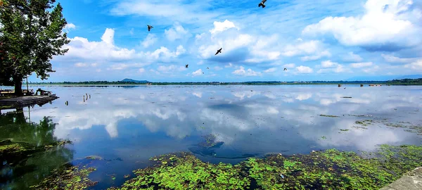 Hermosa Vista Del Lago Dal Desde Lado Carretera Srinagar India — Foto de Stock