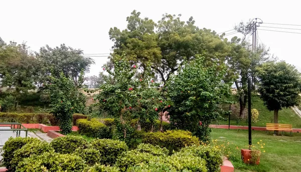 Avond Een Prachtig Openbaar Park Lucknow India — Stockfoto