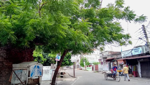 Lucknow Indie Sierpień 2021 Człowiek Jadący Rano Rikszą Drodze Drzewo — Zdjęcie stockowe