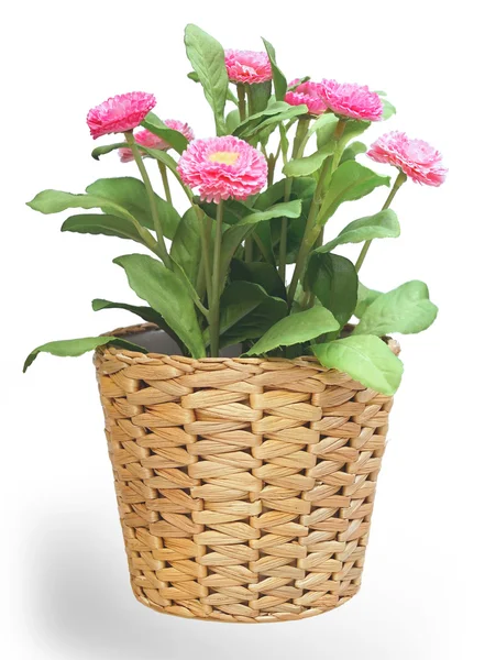 Vertical image of artificial plants in wicker pot. — Stock Photo, Image