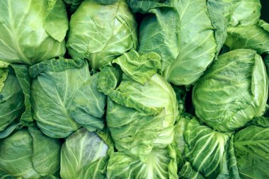 Üstünde belgili tanımlık sayaç yeşil lahana.